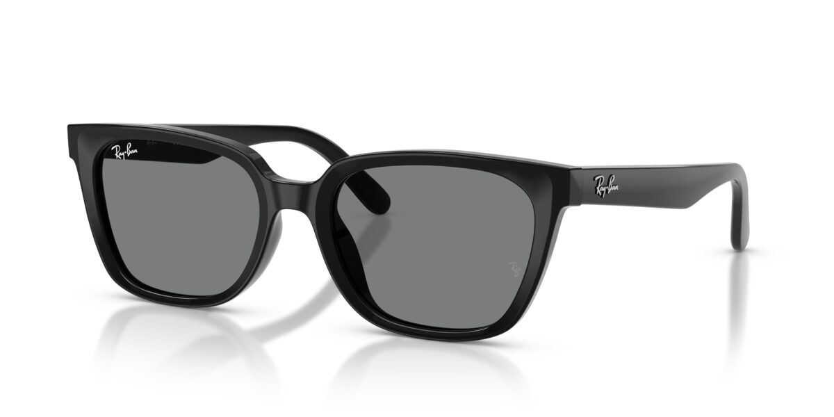 Ray-Ban RB2243D 901/87