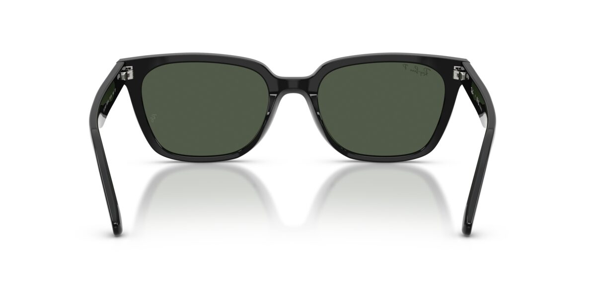 Ray-Ban RB2243D 901/9A