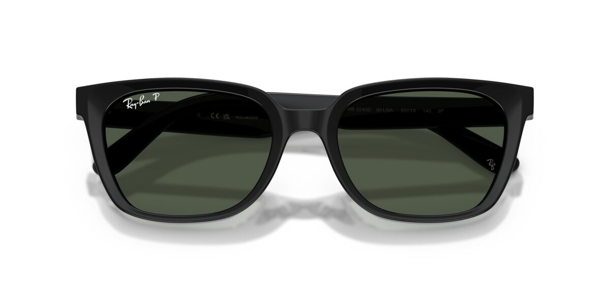 Ray-Ban RB2243D 901/9A