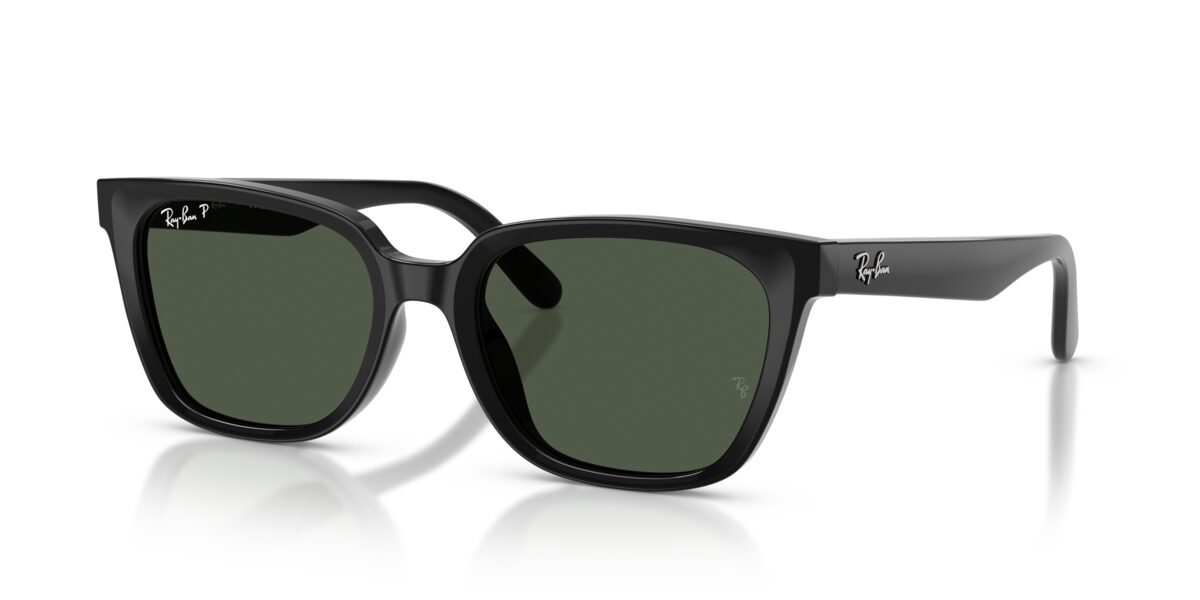 Ray-Ban RB2243D 901/9A
