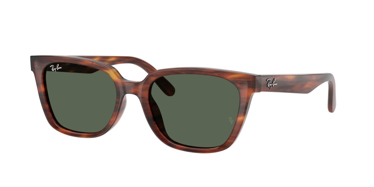 Ray-Ban RB2243D 954/71