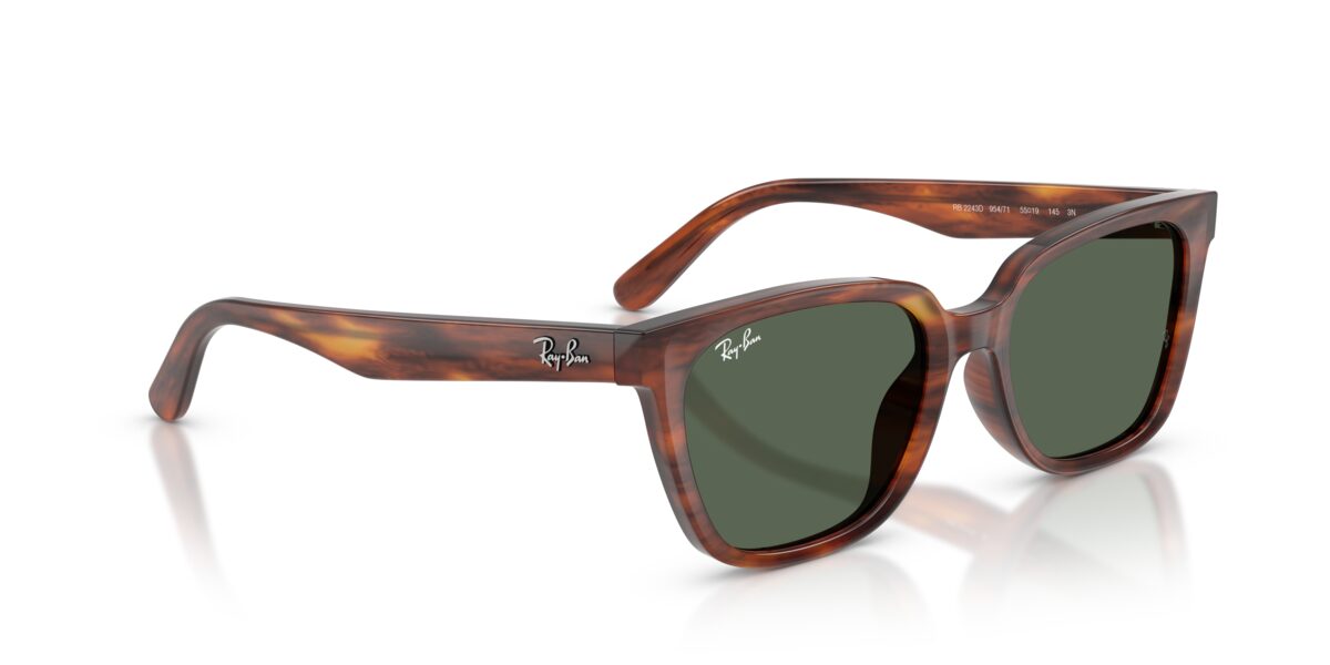 Ray-Ban RB2243D 954/71