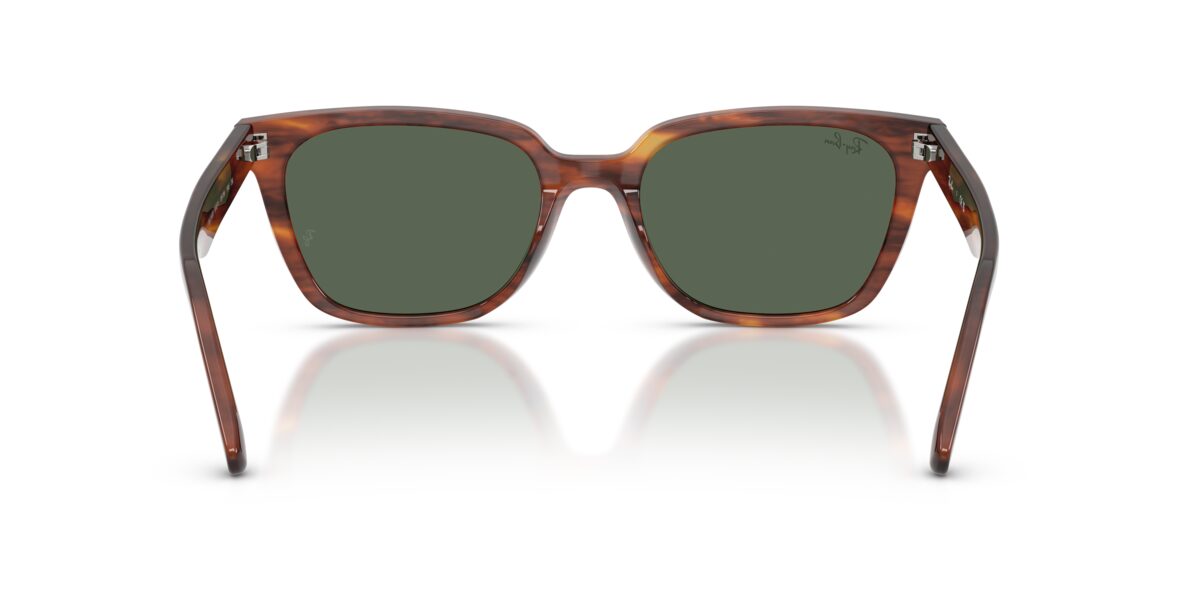 Ray-Ban RB2243D 954/71