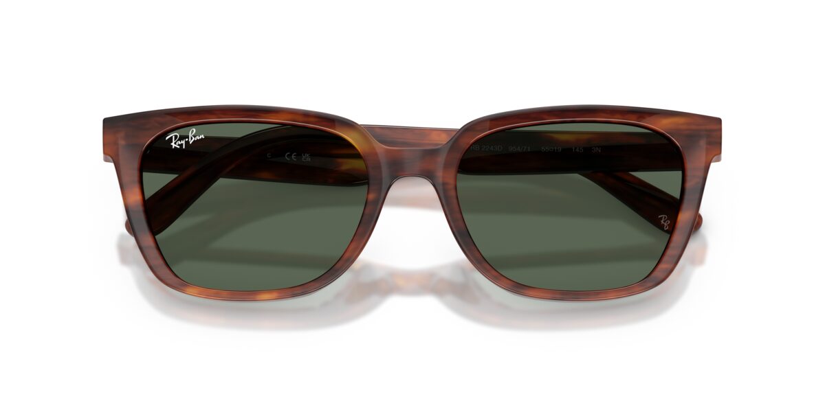 Ray-Ban RB2243D 954/71