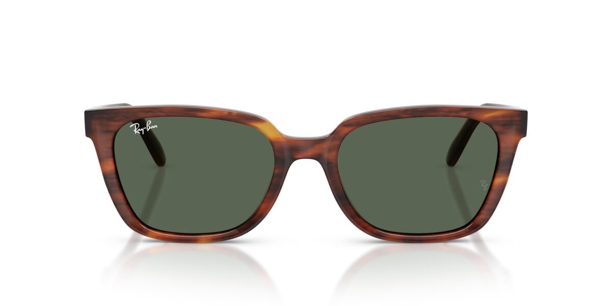Ray-Ban RB2243D 954/71