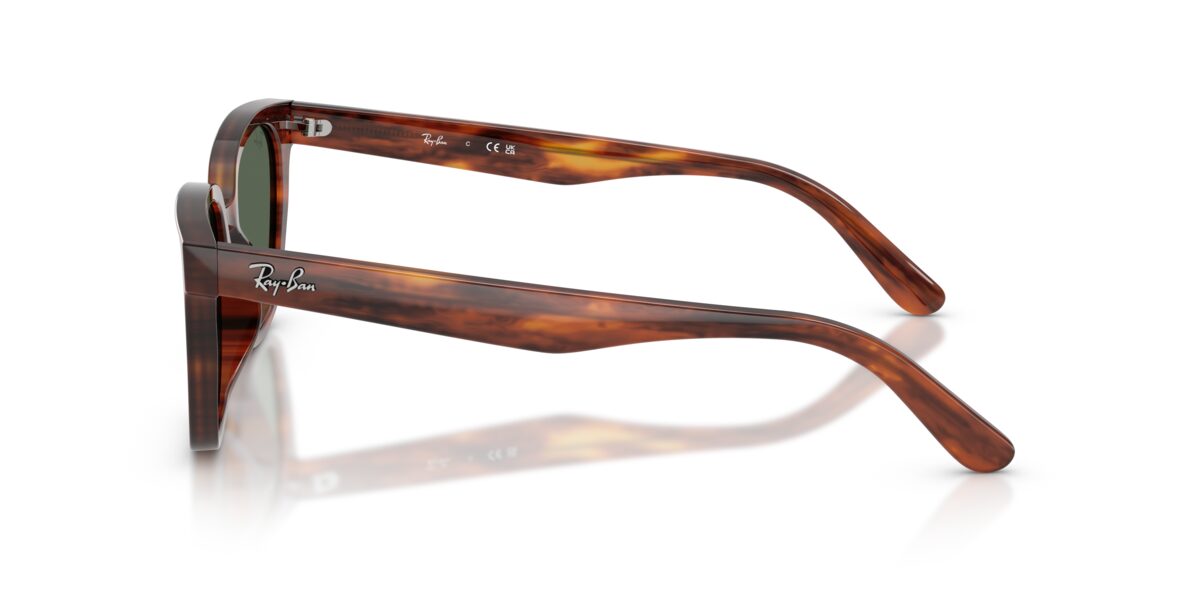 Ray-Ban RB2243D 954/71