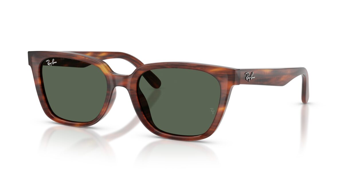 Ray-Ban RB2243D 954/71