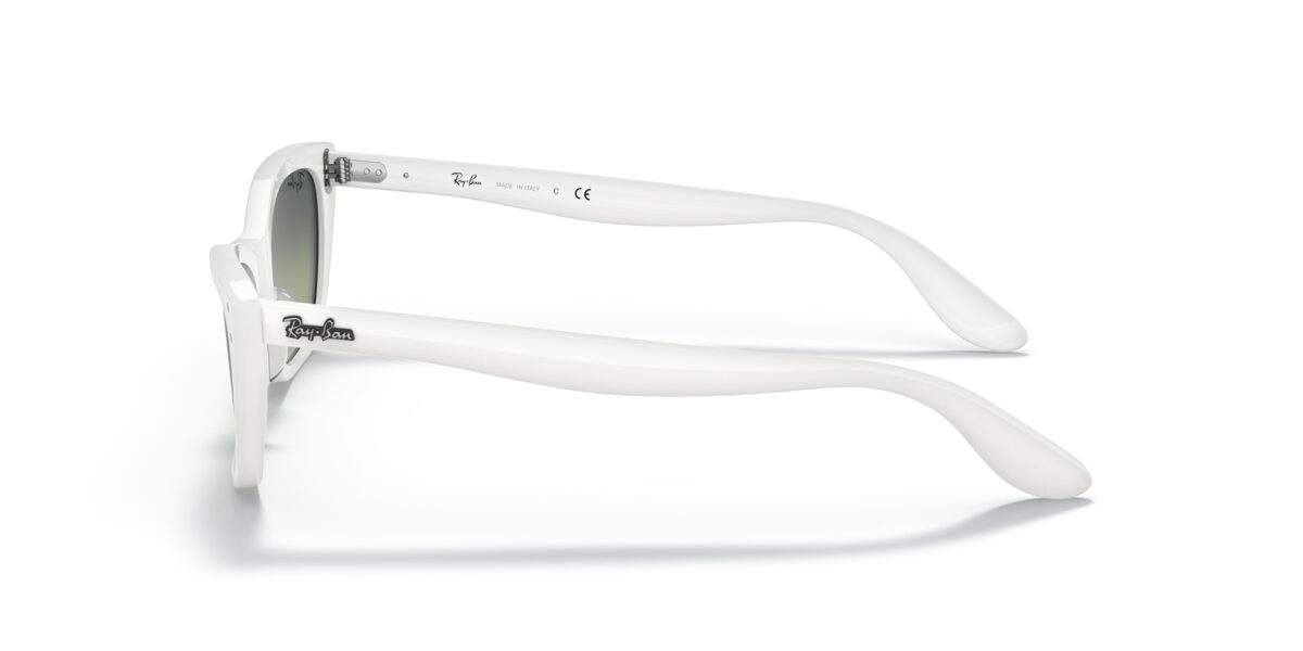 Ray-Ban RB2299 LADY BURBANK 975/BH