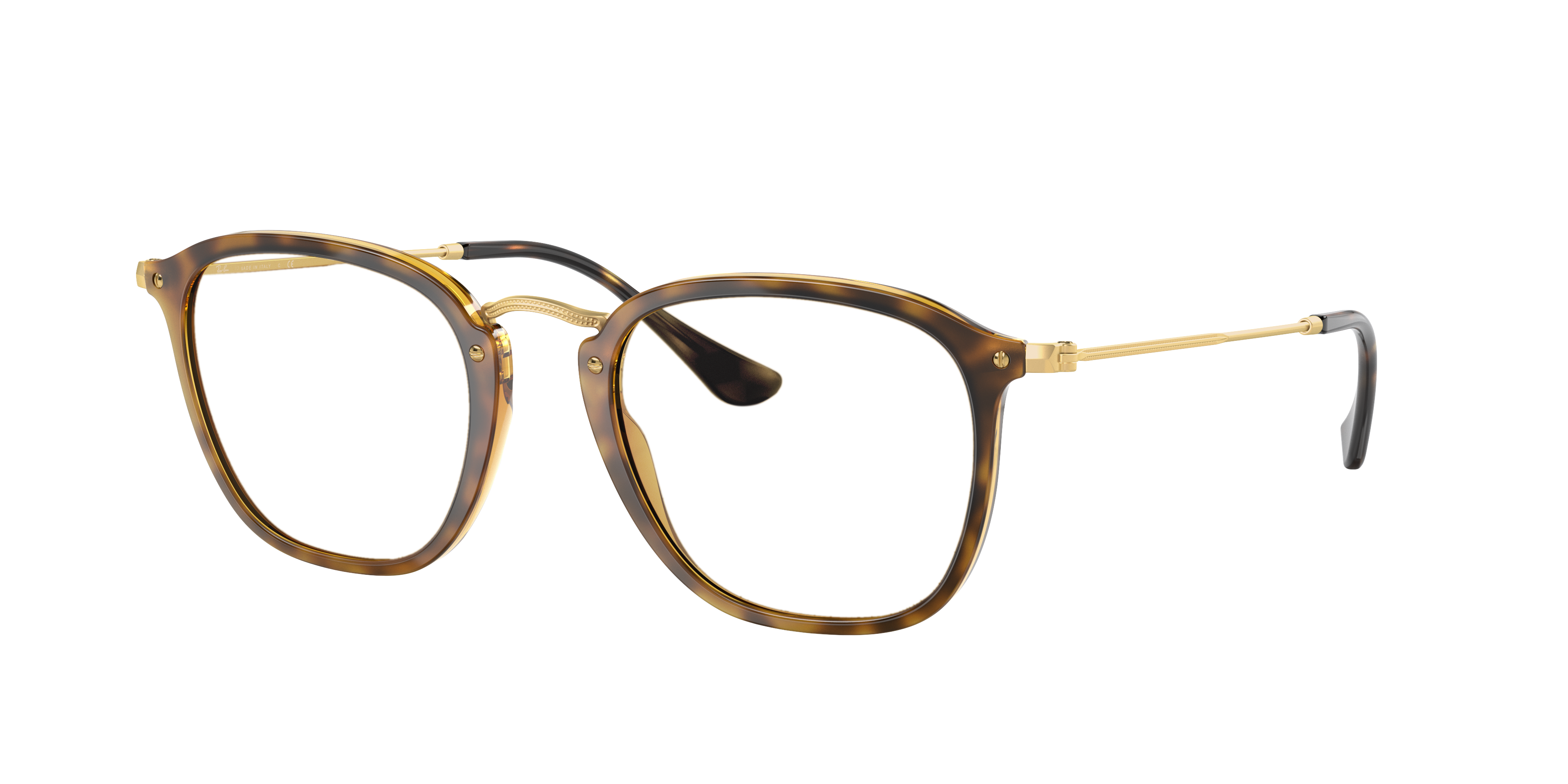 Ray-Ban RB2448N 710