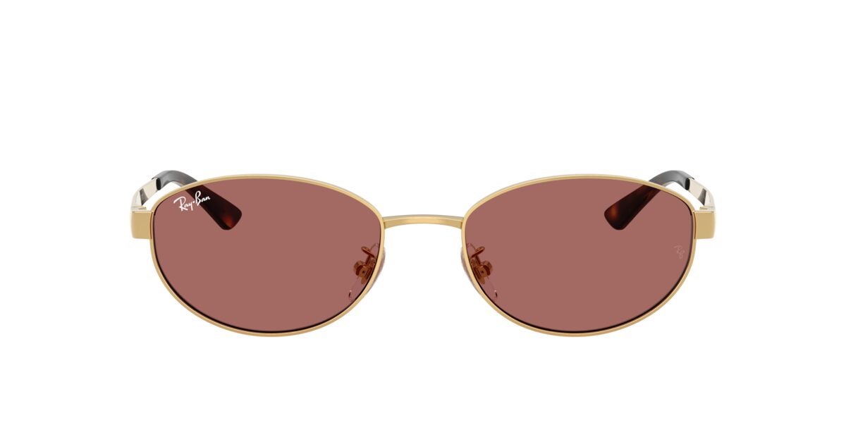 Ray-Ban RB3774D 001/69