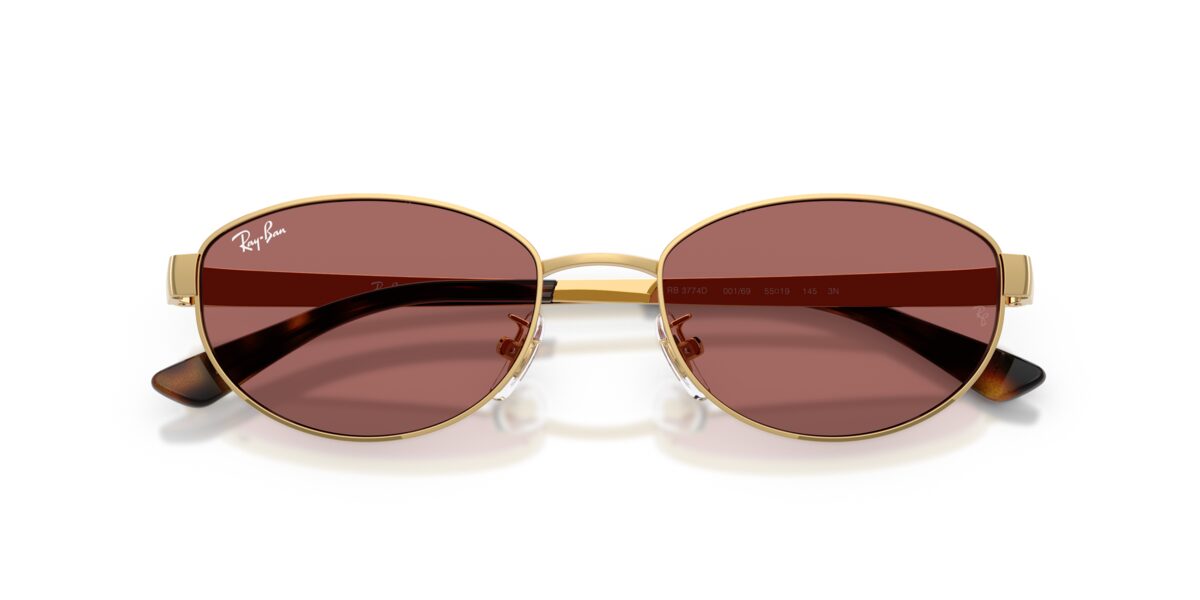 Ray-Ban RB3774D 001/69