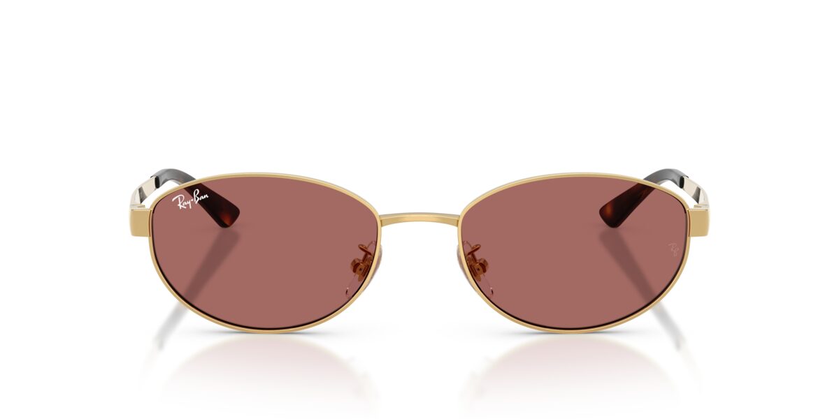 Ray-Ban RB3774D 001/69