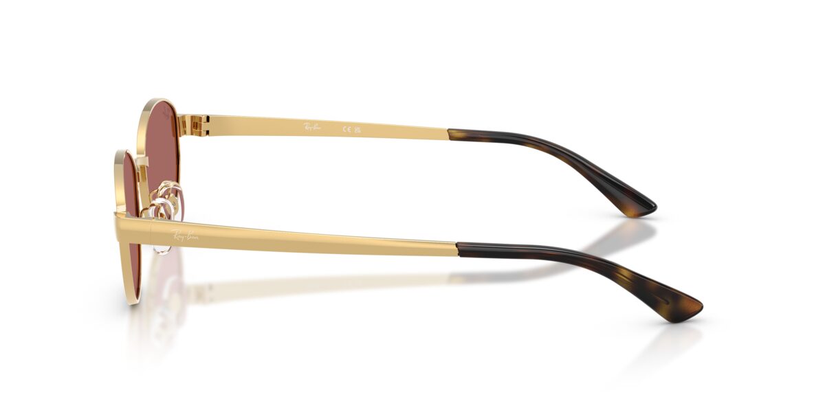 Ray-Ban RB3774D 001/69