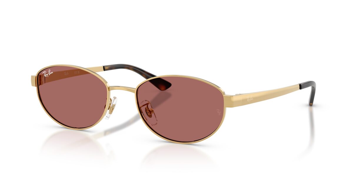 Ray-Ban RB3774D 001/69