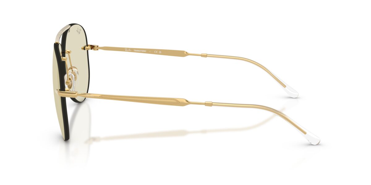 Ray-Ban RB3791 001/MG