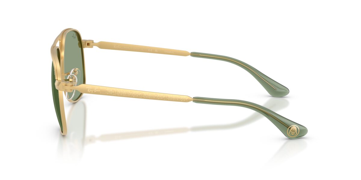Ray-Ban RB3793 BILL MAX 929052