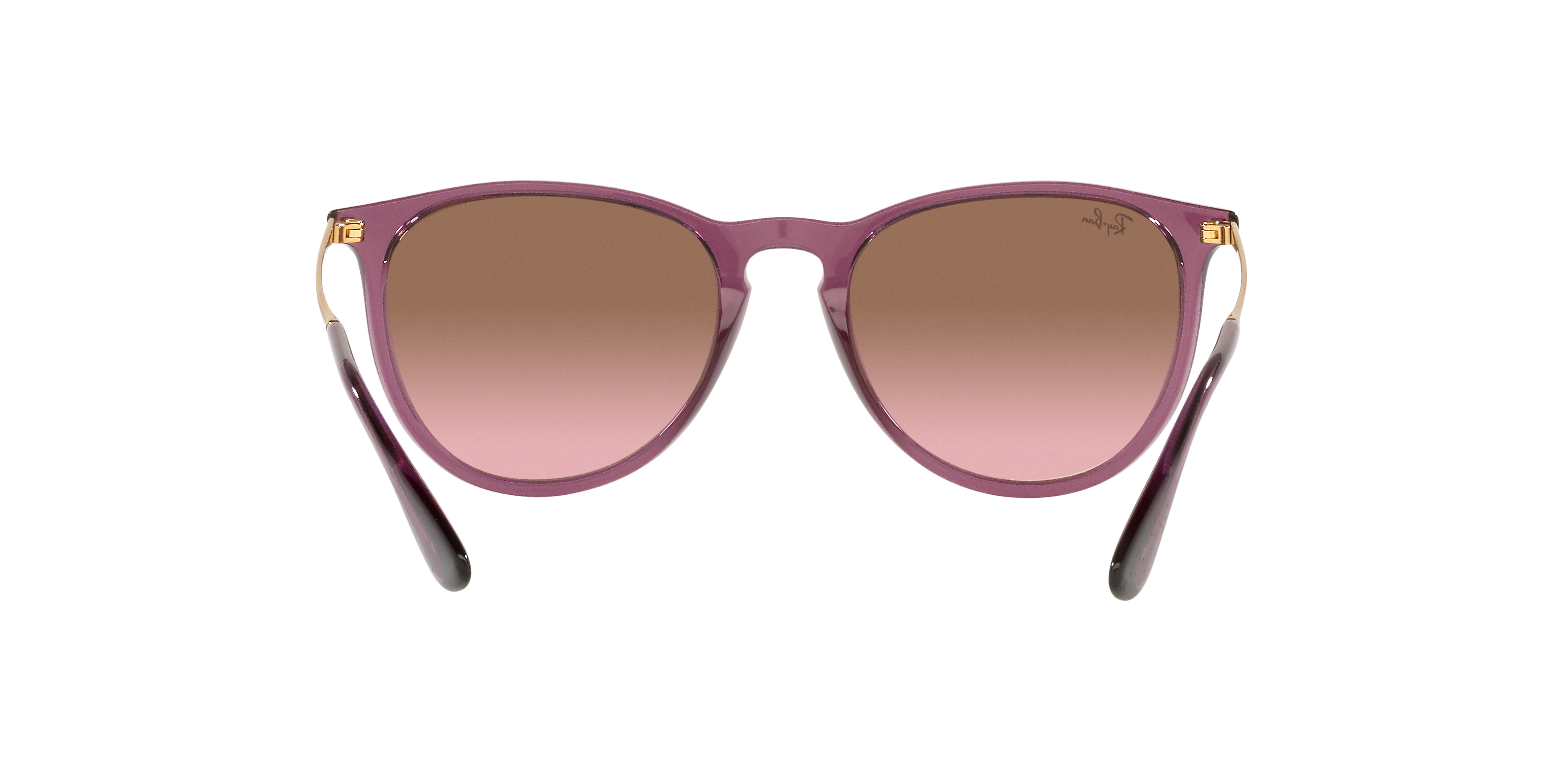 Ray-Ban RB4171 ERIKA 659114