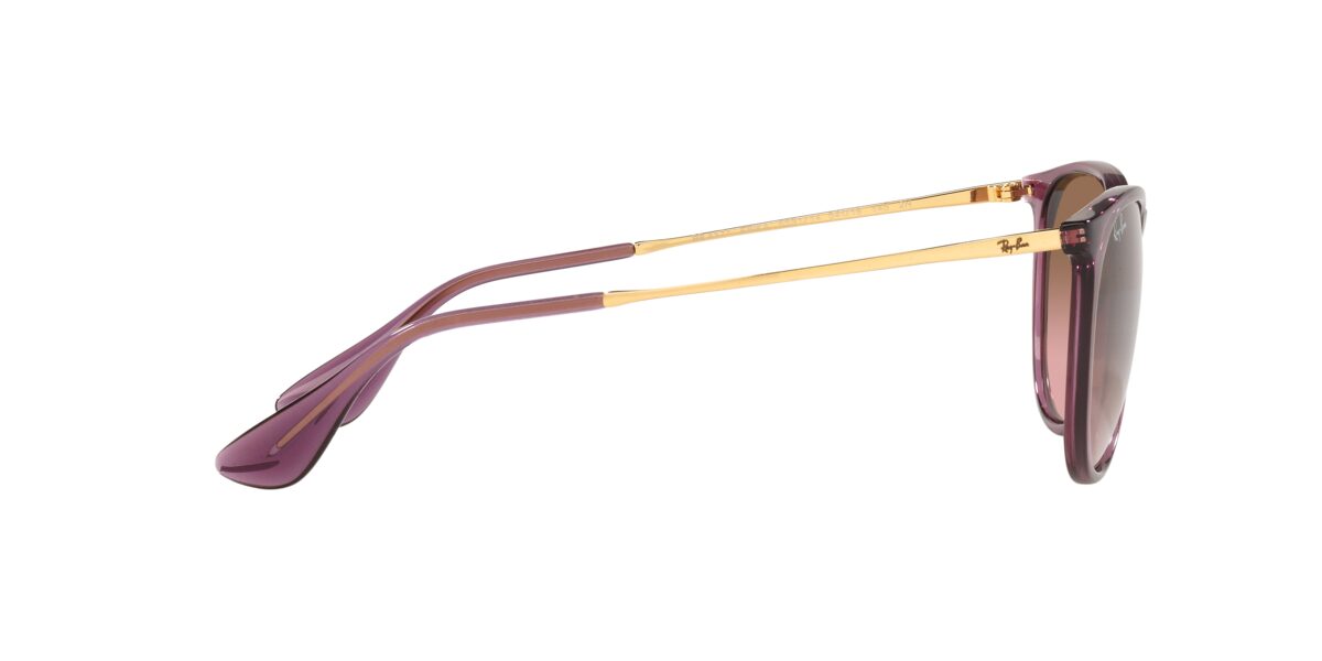 Ray-Ban RB4171 ERIKA 659114