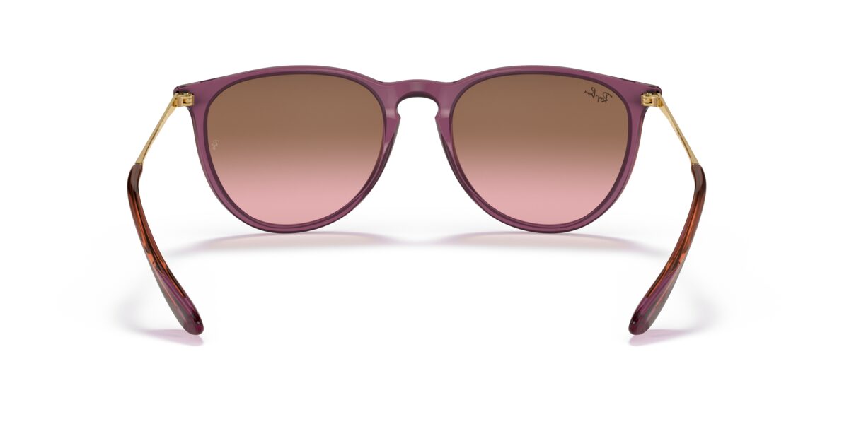 Ray-Ban RB4171 ERIKA 659114