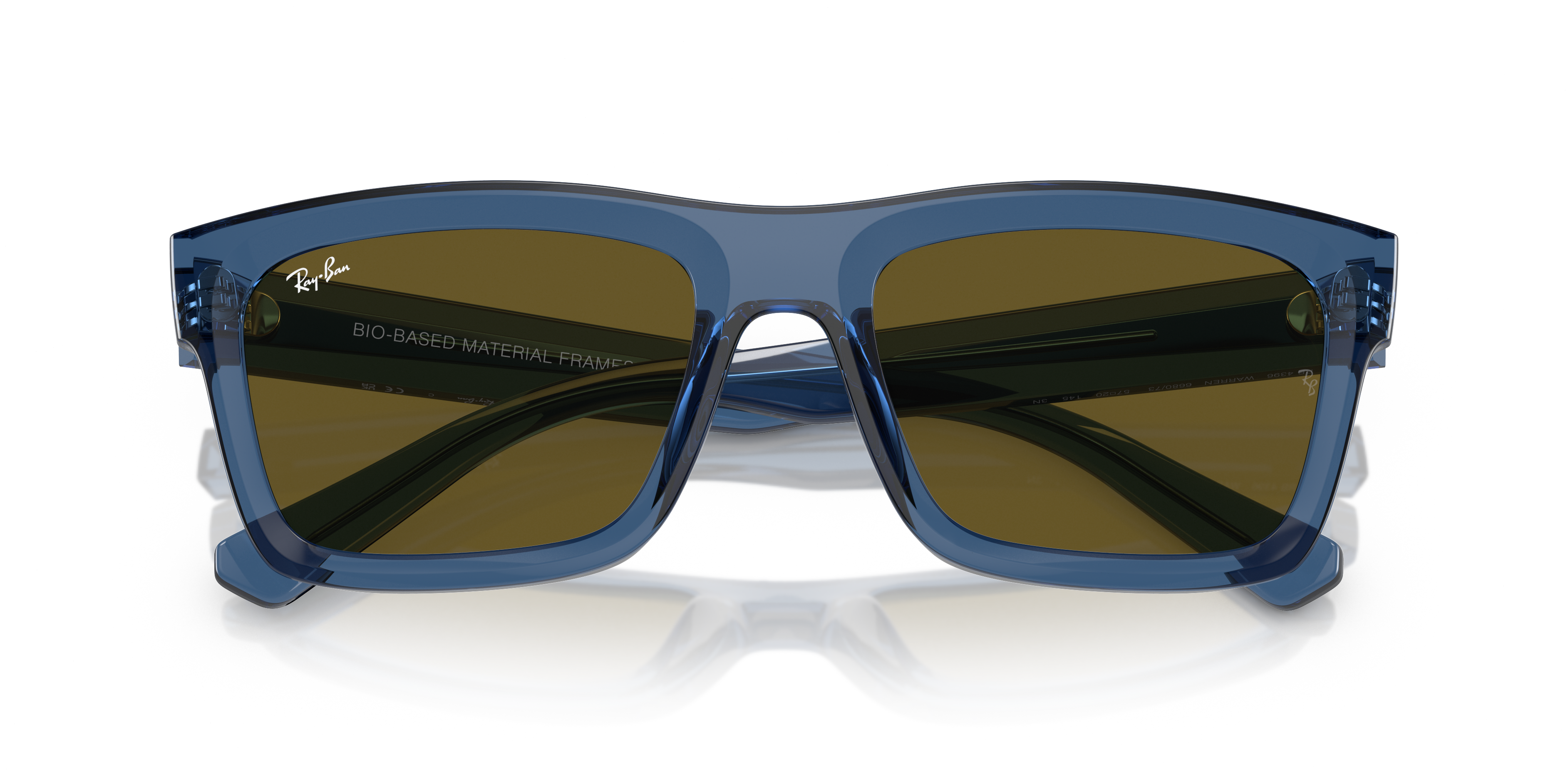 Ray-Ban RB4396 WARREN 668073