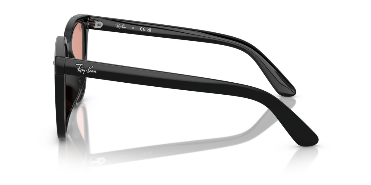 Ray-Ban RB4401D 601/74