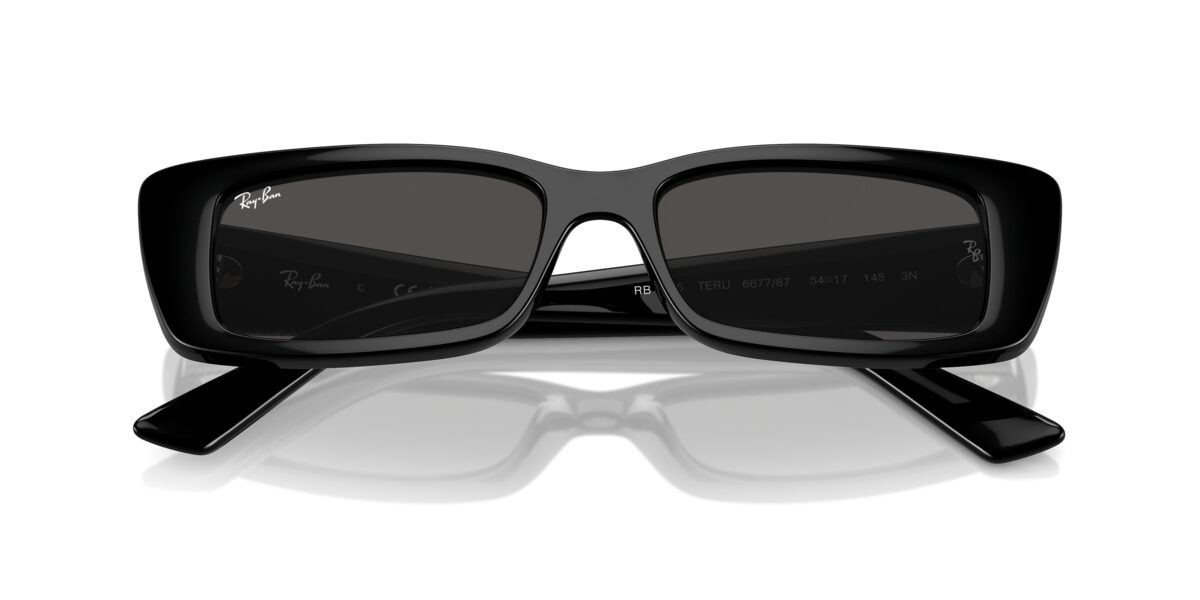 Ray-Ban RB4425 TERU 667787