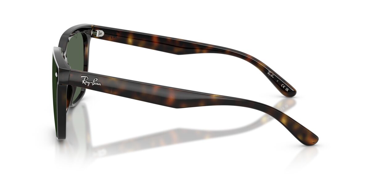 Ray-Ban RB4466D 710/71