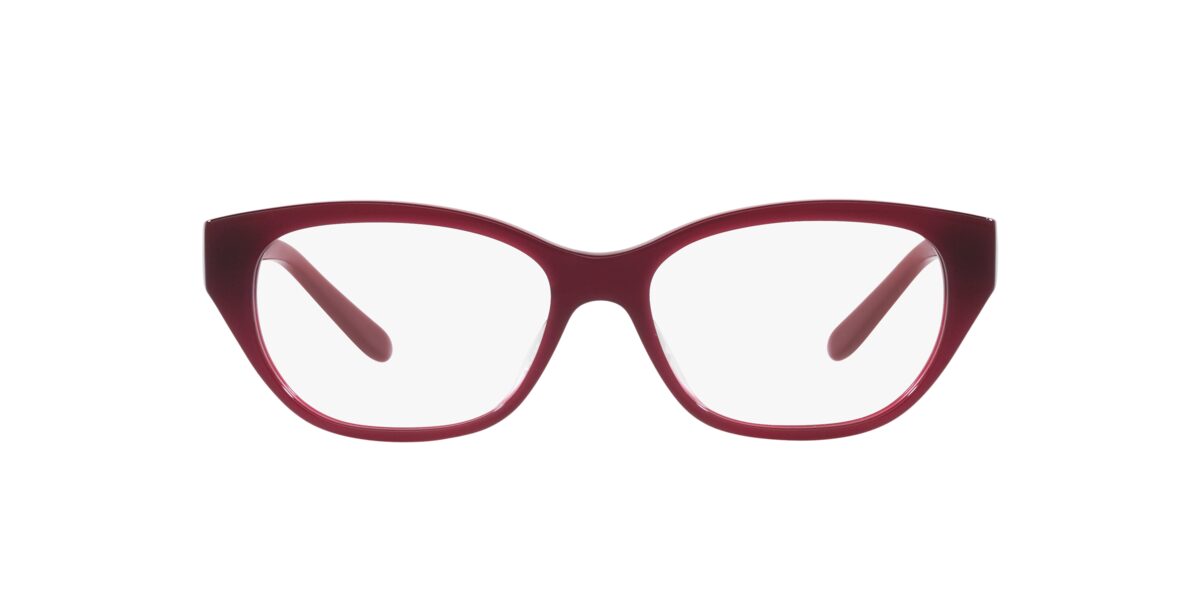 Ralph Lauren RL6227U 5912