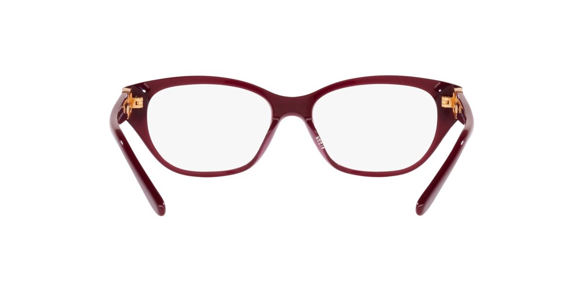 Ralph Lauren RL6227U 5912