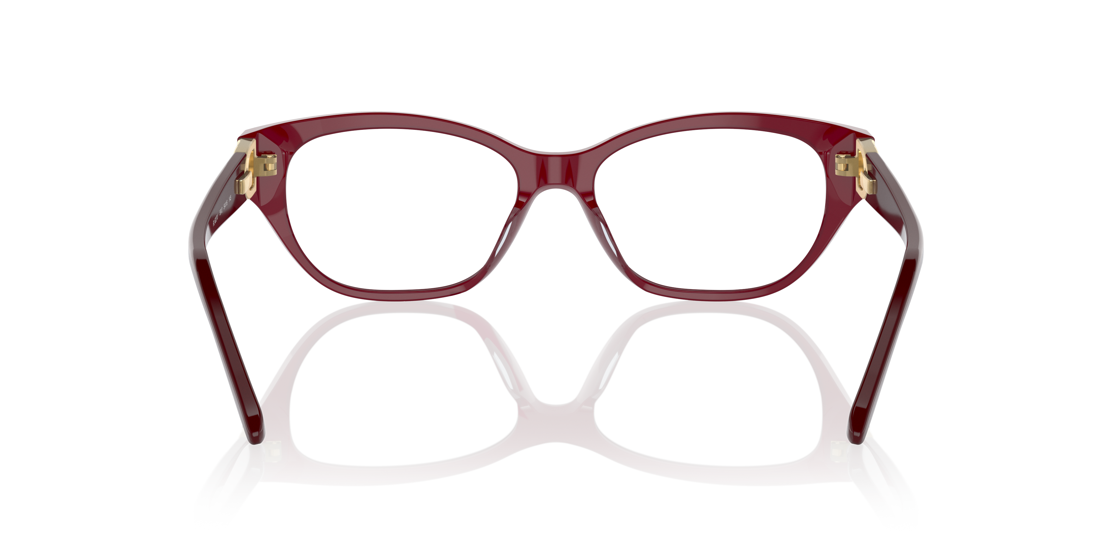 Ralph Lauren RL6227U 5912