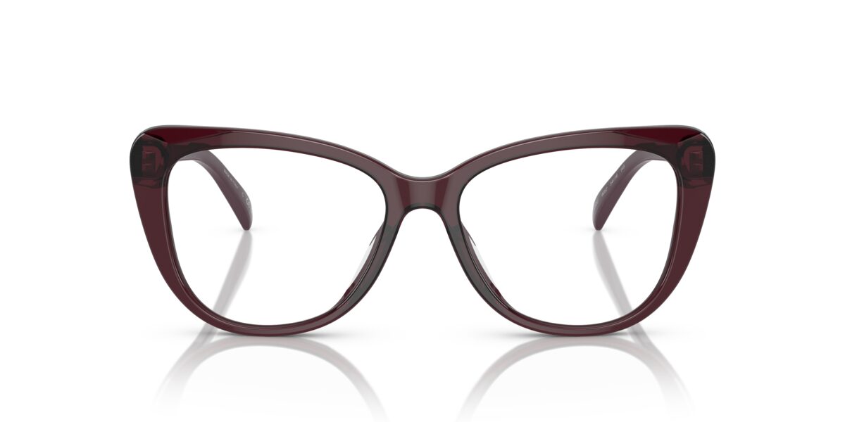Ralph Lauren RL6232U 6052