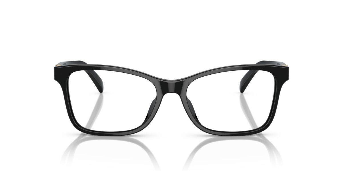 Ralph Lauren RL6233U 5001