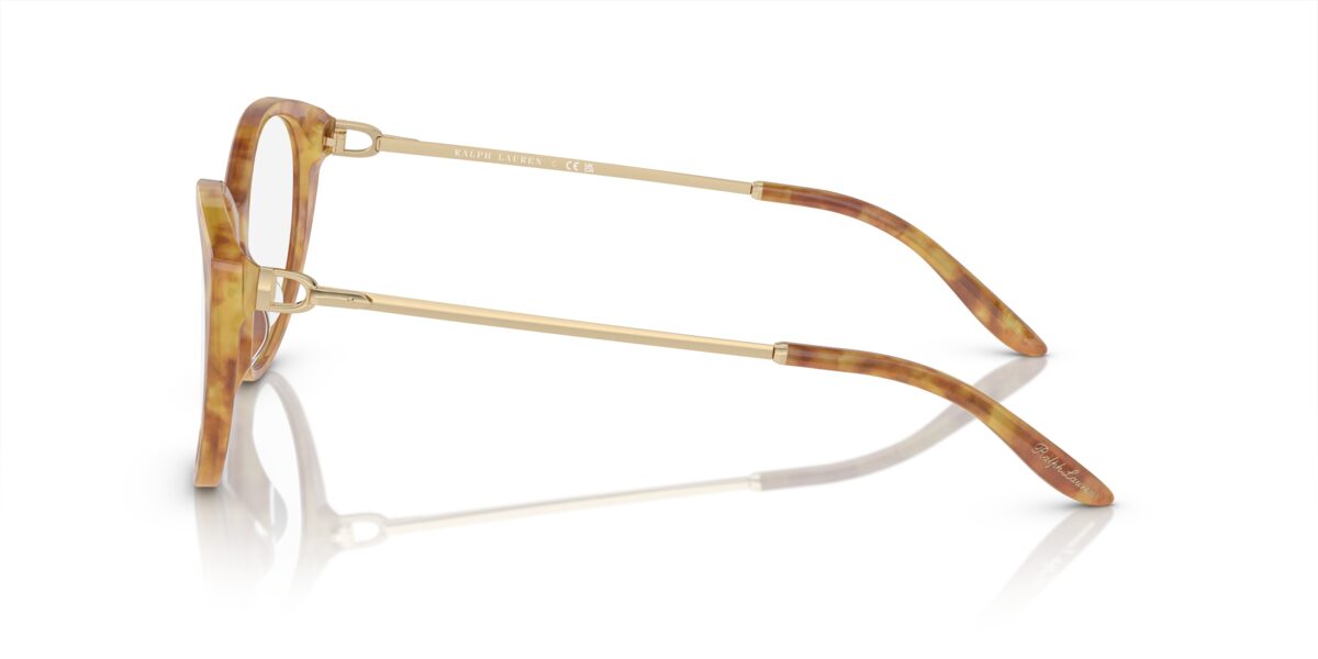 Ralph Lauren RL6239U 6113