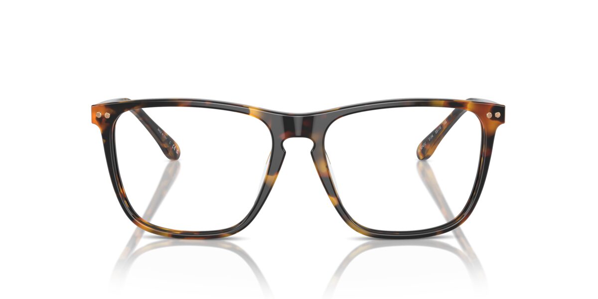 Ralph Lauren RL6242U 5134