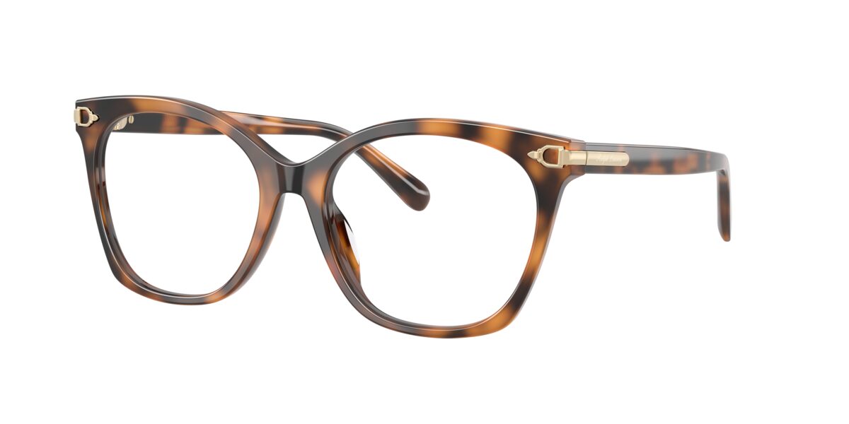 Ralph Lauren RL6266U 6089
