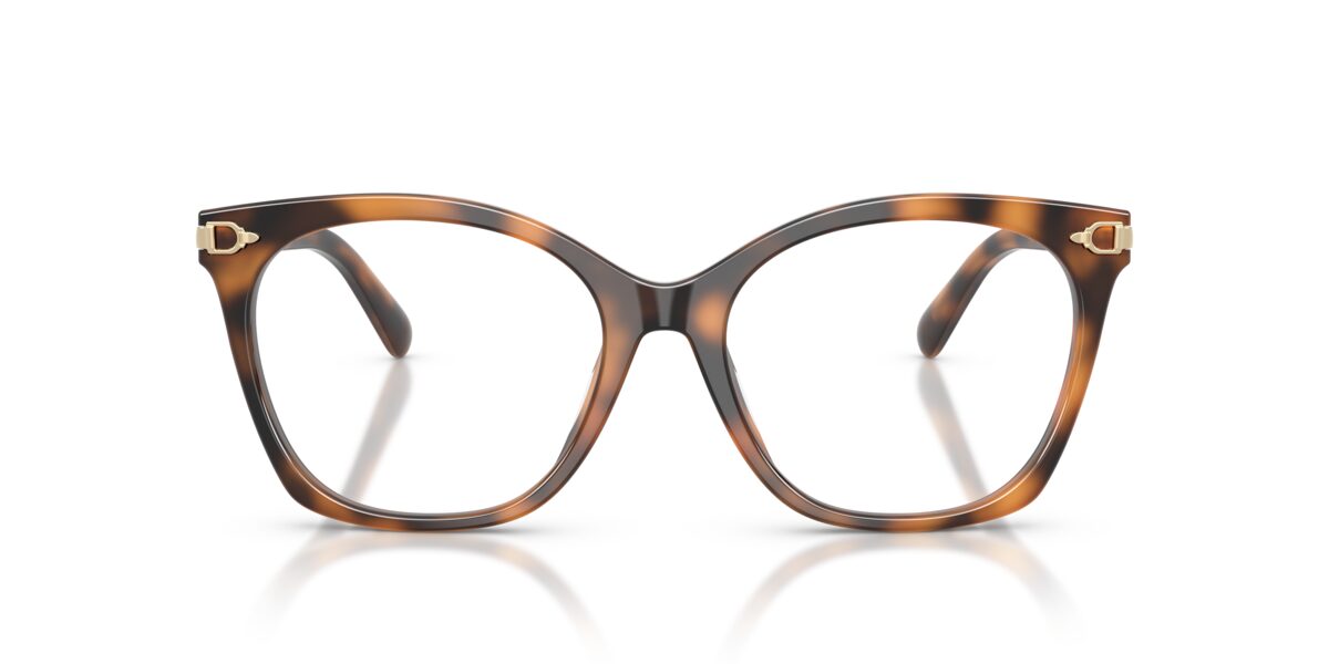 Ralph Lauren RL6266U 6089