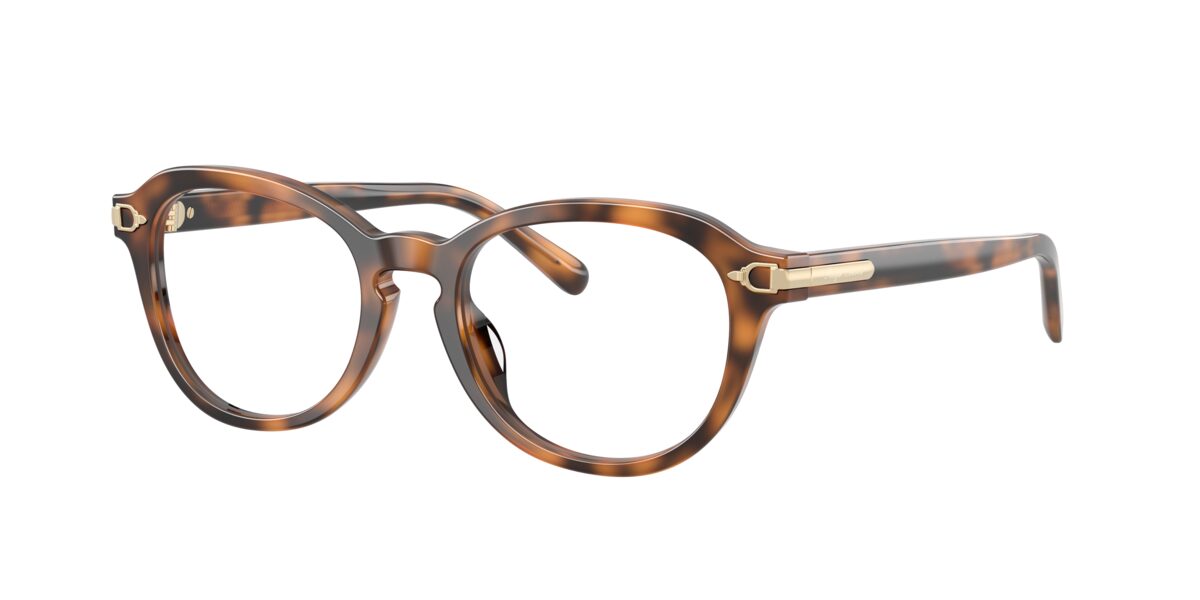 Ralph Lauren RL6267U 6089