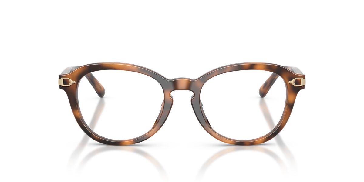 Ralph Lauren RL6267U 6089