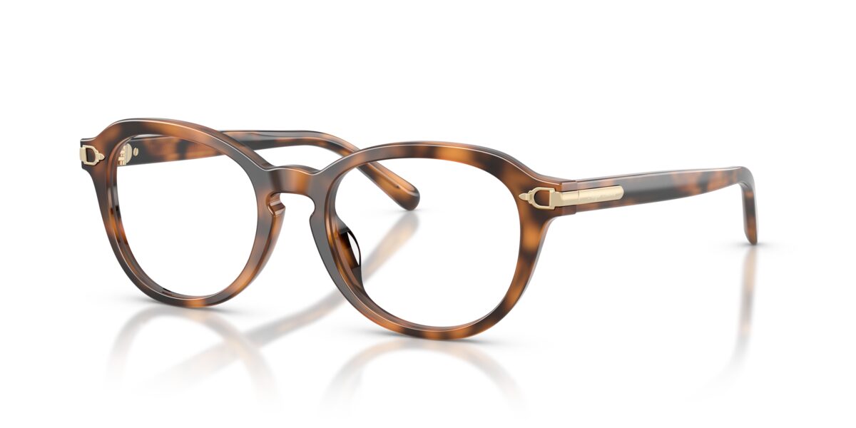 Ralph Lauren RL6267U 6089