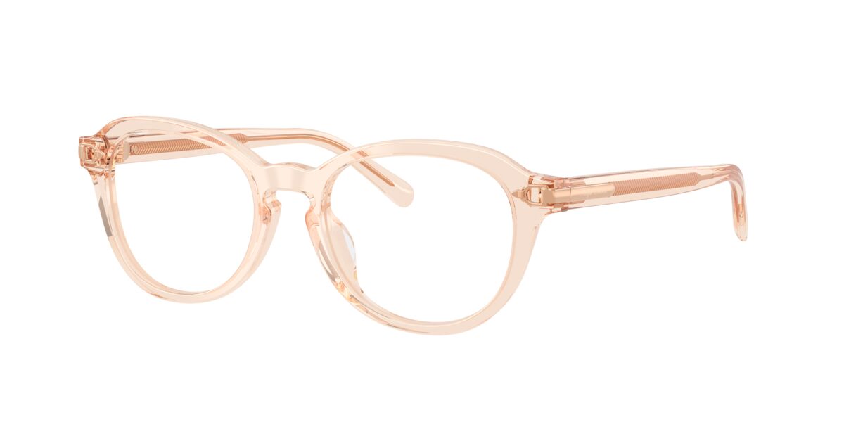 Ralph Lauren RL6267U 6385