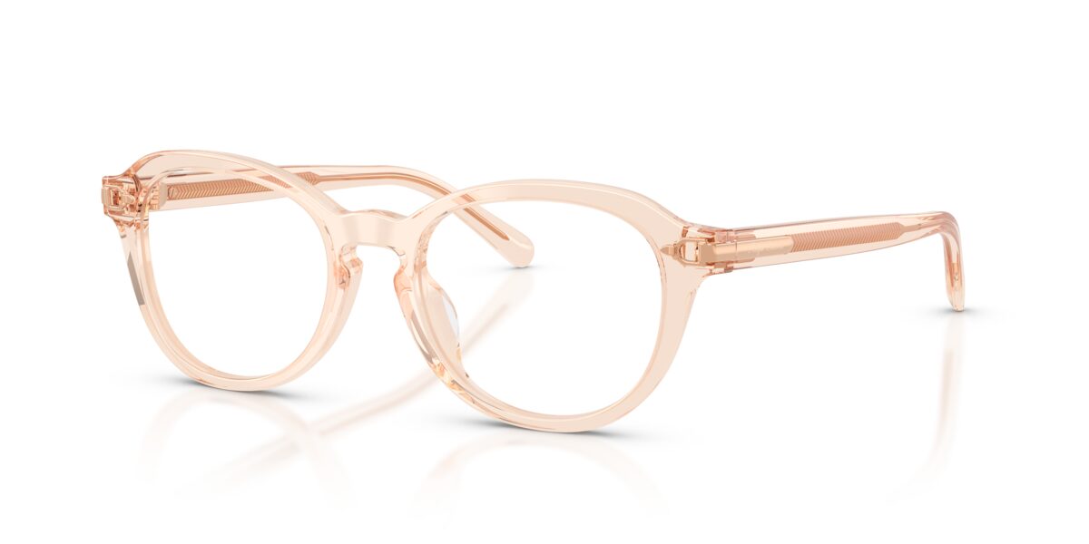Ralph Lauren RL6267U 6385