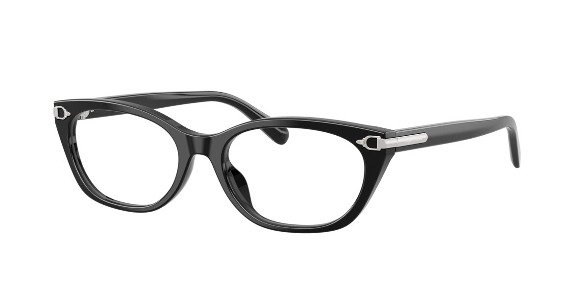 Ralph Lauren RL6268U 5001