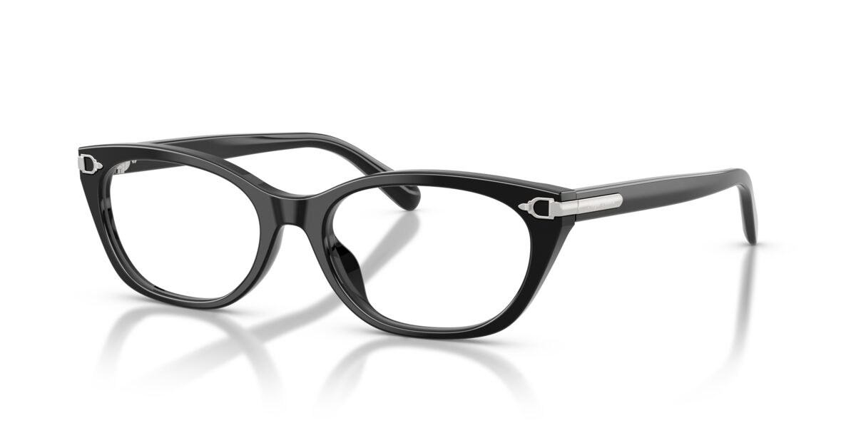 Ralph Lauren RL6268U 5001