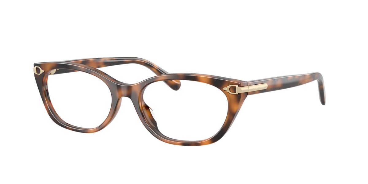 Ralph Lauren RL6268U 6089