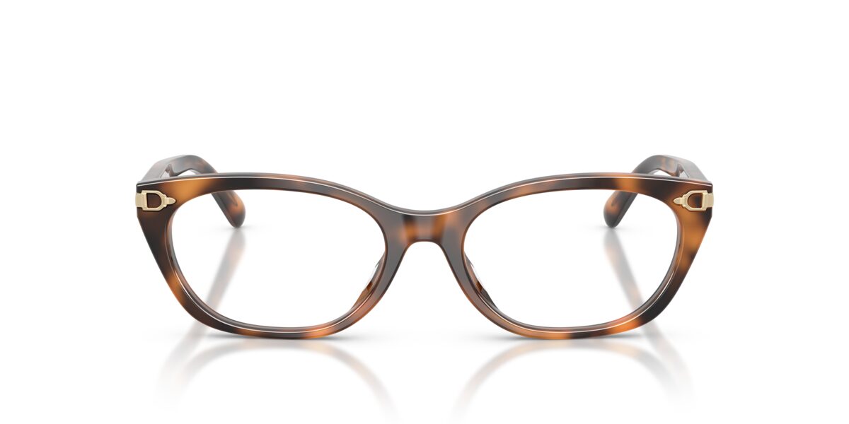 Ralph Lauren RL6268U 6089