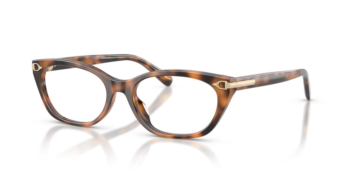 Ralph Lauren RL6268U 6089