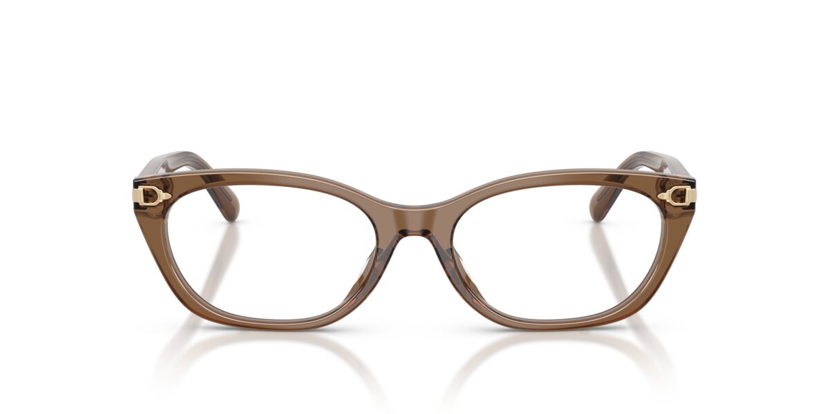 Ralph Lauren RL6268U 6377