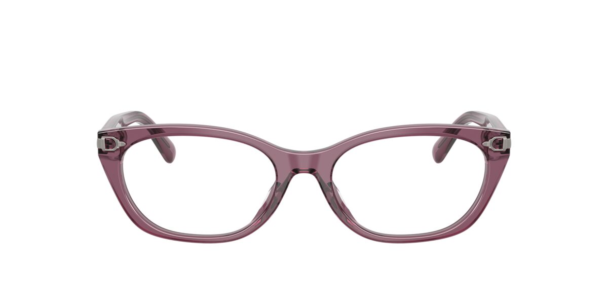 Ralph Lauren RL6268U 6389