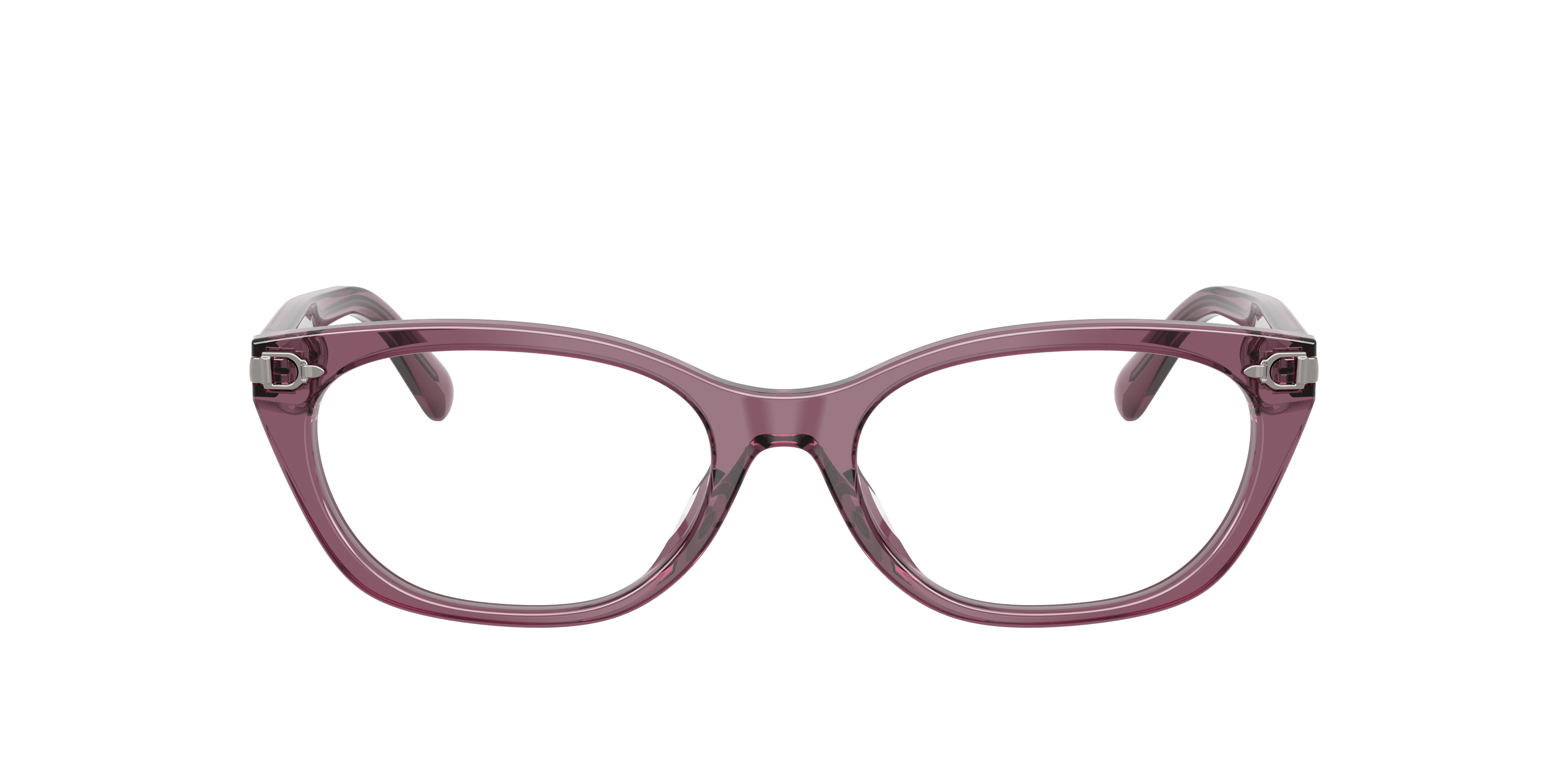 Ralph Lauren RL6268U 6389