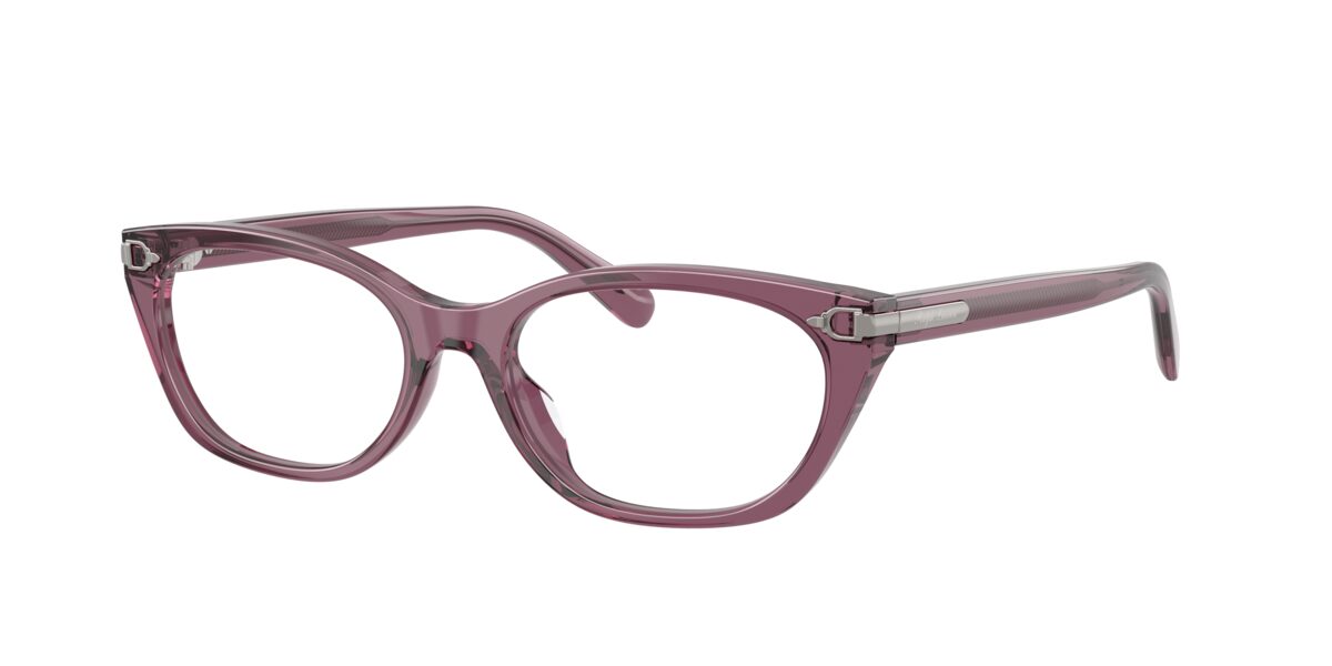 Ralph Lauren RL6268U 6389